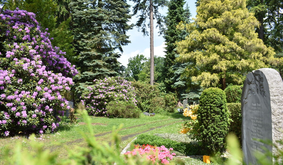 Titelbild - Verwaltung